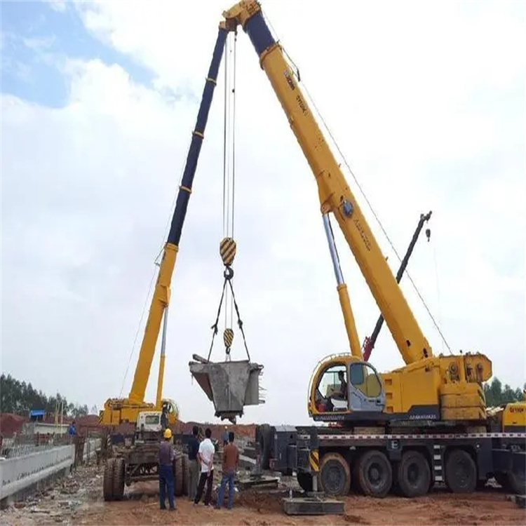 大田镇小型吊机出租电话|厂房设备吊装方案|24小时服务覆盖